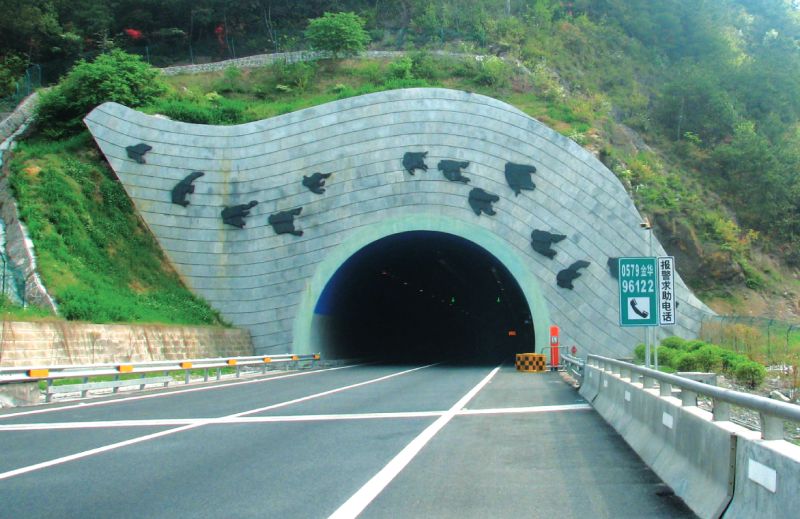 新加：龍麗溫高速龍游竹海隧道