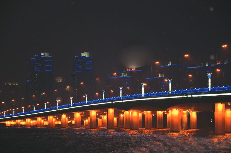 金雞湖大橋1
